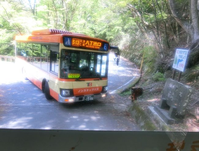 あべこべの山歩き～…の巻（ドラえもん風）　伊豆　三筋山