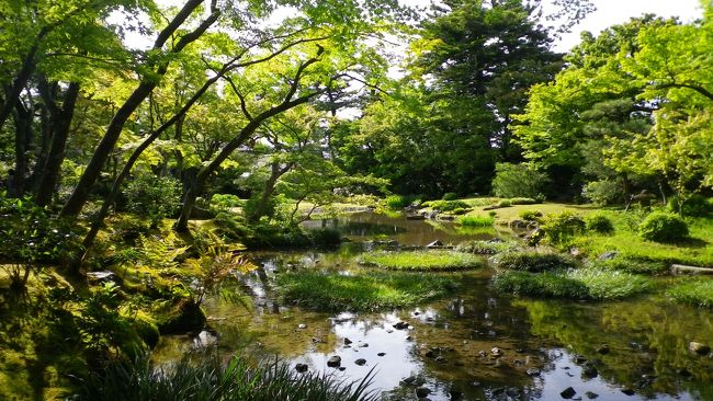 紅葉の名所は苔むす新緑の時季も美しく<br />清々しい風景を見せてくれます。<br /><br />暑い日でしたが<br />哲学の道から<br />南禅寺界隈別荘群の中で唯一公開されている無鄰菴まで<br />緑のシャワーを浴びながら気持ちの良い散策となりました。