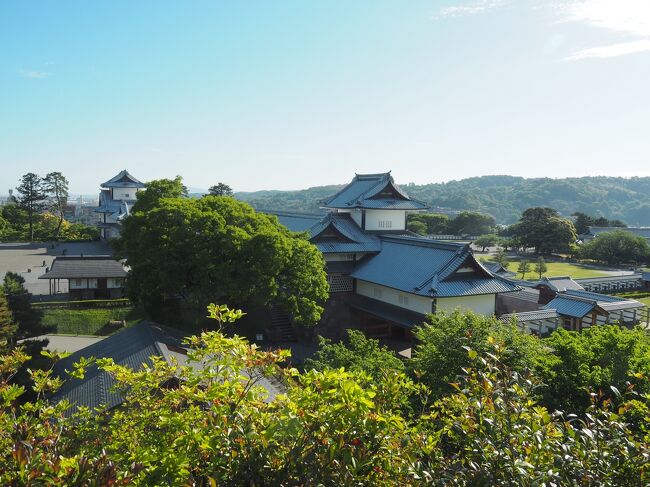 ■5月20日（月）<br />2泊3日の金沢の旅、最終日の今日は、午後から雨が降る予報なので早めに行動開始。早朝4時から開門まで兼六園に無料で入れると知り、なるべく早くいってみようと考えたのですが。。4時は無理でした（まだ暗い・・）。6時半に金沢城にやってきました。今回、アートと温泉がテーマでしたが、どちらも前日までに行ってしまって、３日目は登場しません。最終日の金沢をひたすら歩きました。<br /><br />ｰ金沢城<br />ｰ兼六園<br />ｰひがし茶屋街<br /><br /><br />