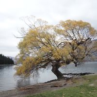 秋のクイーンズタウンとワナカ4日目：ファーグバーガー、ワカティプ湖、スーパーシャトルで空港へ