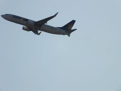 羽田空港日帰り旅なのかな