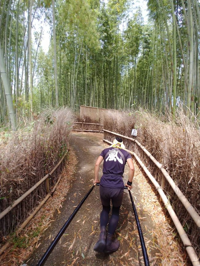 御朱印帳も折り返しになったところで<br /><br />大本命の京都へ　行ってきました。<br /><br />テレビで見かける　混雑ぶり・・・<br /><br />果たして　目標を達成できるのか　(￣▽￣)