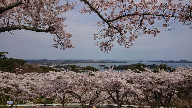 妹と温泉旅行。まだ春早い肘折温泉と鳴子温泉で源泉かけ流しのお湯を満喫してきました。西行戻しの松公園では満開の桜と松島の景色を眺めました。