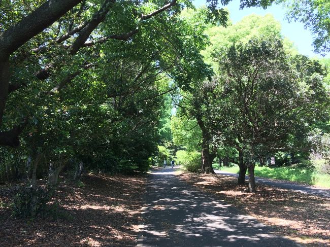 サイクリングロードが整備されている国営昭和記念公園。<br />自転車を乗りに来ました。<br /><br />パパは仕事なので子供と二人でお出掛け。<br />車への積み込みに不安が残り、自宅から紐を持ってこようか思案していると…そこへ輪行する自転車を持った方が通りかかりました。<br /><br />なんて、凄いタイミング☆<br /><br />声を掛けてお知恵を拝借。<br />これで大丈夫でしょうとおっしゃって頂き安心して出発出来ました☆ありがとうございます!