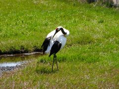 5月の北海道（釧路ー函館ー札幌）①