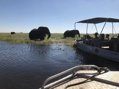 アフリカ 5    ボツワナ チョベ国立公園  ボートクルーズ　　風渡る　ボートの前に　野生在り