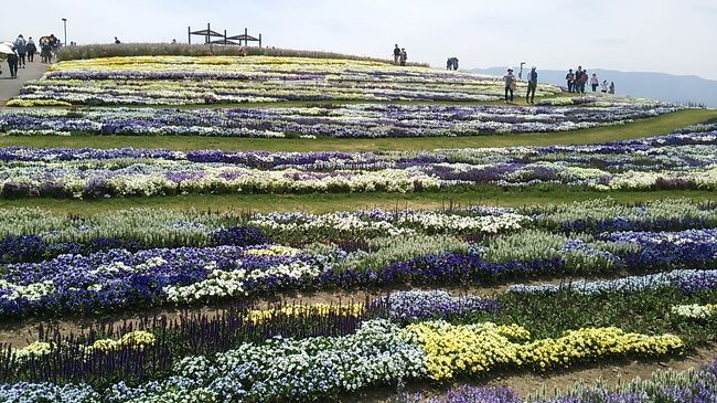 特急「あずさ」で行く東京発日帰り？ワンデー信州　2019・05～信州花フェスタ観覧編（前編）～