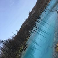 ペンション ケンとメリーに関する旅行記 ブログ フォートラベル 美瑛 びえい