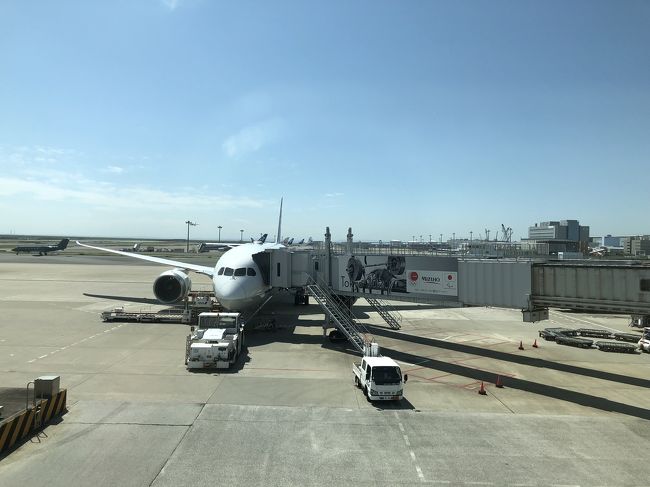 急遽お休みが取れたので久しぶりの一人旅、美味しい物があって景色が良いところに…とひとっ飛び!!