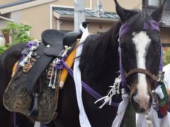 ★街十色～ ひとり青もみじ狩り部③　赤山禅院の青もみじと御霊祭りなど★