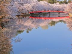 2019・5　GWは東北へ桜を見に行こう　2