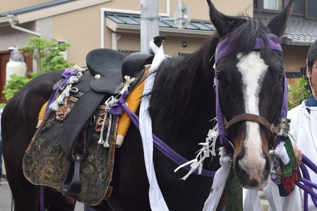 今回の2泊3日京都青もみじ狩りツアーの最終日です。<br /><br />洛中で最も古いお祭りとされる御霊祭に行ったものの、<br />御神輿の出発時間やコースを盛大に間違え<br />最後はグダグダになりました。<br />が、誰に迷惑をかける訳でもない気ままなひとり旅なので<br />(誰かと一緒にいて、間違えて教えてしまったら取り返しがつかない)<br />「まあ、いっか」という事で旅を終えました。<br /><br />※ちなみに以前働いていた会社の上司に<br />「人生で一番大切な言葉は『ま、いっか』と『知ーらない』だ」<br />と教えられ、退職してずいぶん経ちますが<br />未だに遵守しております。