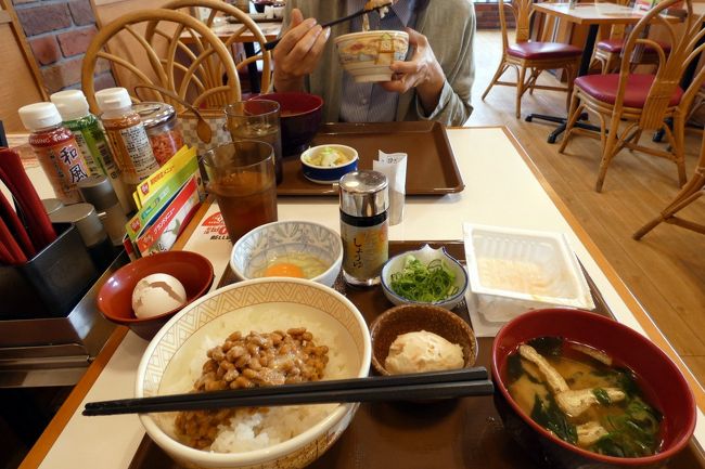 この日は好天の予報が出ているので、伊豆高原はかなり混雑するのではないかと思います。<br /><br />そこで、人が出る前にサクッと観光をしようと思い、早朝のホテルを出てすき家 １３５号伊東吉田店で朝食を食べることにします。<br />