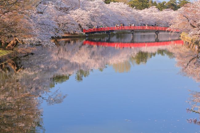 3日目～7日目帰宅まで<br /><br />今年も東北の桜を見て廻ることが出来ました。<br /><br />何処へ行ってもとても綺麗な桜・おいしい食べ物とてもいいGWとなりました。<br /><br />又旅車も新しくなり、とても快適な旅でした。<br /><br />