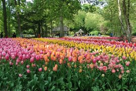 春のオランダ・ベルギー：３：キューケンホフ公園＆ヒュー･ジャックマン・コンサート