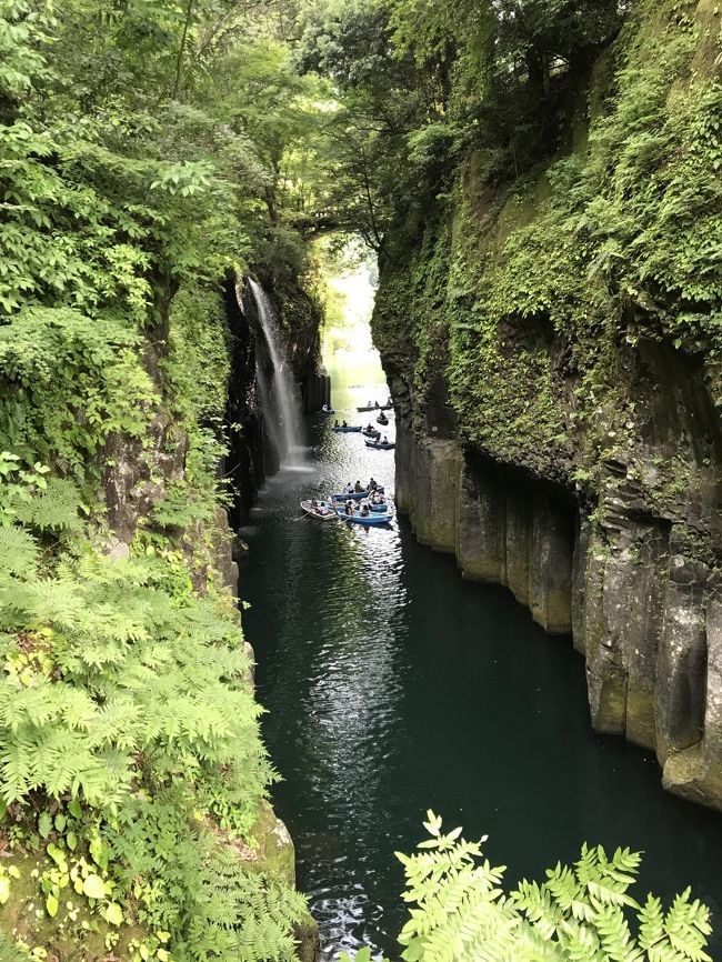 いつもの呑みトラベル仲間の宴会で盛り上がり、即行ってみようと往復フェリーで2泊の弾丸ツアーに参加しました。神戸三宮のフェリー乗り場から宮崎港に向け夕刻出港です。天気も良く波も穏やかで、乗り込んですぐにビールで今回の旅行の成功を祈念してさっそく宴会です。神話の天照大神やイザナミノミコトやスサノオノミコトの神話を宮司の説明が有り、手力男命（タヂカラノミコト）が大岩の天岩戸をぶん投げて、長野県の戸隠神社まで投げたそうな。ホンマかいな。でもパワースポットのようで、たくさんの若い女性たちでいっぱいでした。高千穂峡はガイド写真と一緒で、インスタ映えするようなポイントでした。暑い中、良く歩き良く飲み疲れました。<br />