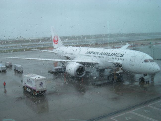 台湾最終日は、昼の飛行機なので、特に出かけることはできなかったので、スーツケースを整理してチェックアウト。タクシーでＭＲＴ台北駅へ移動。そこからＭＲＴで桃園国際空港へ。乗車時間は３５分ほど。ＪＡＬで帰国