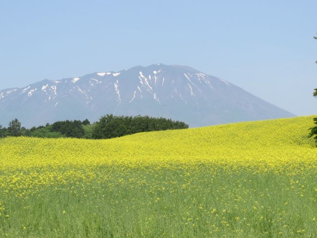 今回の旅は東北地方、岩手県。<br />幼馴染との二人旅です。<br />二日間、車での移動距離1,000㎞超え。<br />真夏のような暑さも加わりかなりハードな旅に。<br />だけど、おいしいものや絶景にも会え、大満足の旅となりました♪<br />