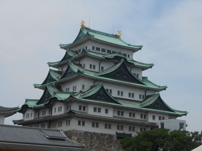 所用があって名古屋訪問。<br />名古屋はかって在職中出張で20年ほど前に2度程訪れていますが、名古屋城を車窓で観ただけ。<br />今回も所用が目的なので、観光は望めないと思っていましたが、せめて名古屋城には行きたいな、と。<br />息子たちと合流していましたが、最終日家族4人では多分2000年1月のハワイ以来の観光。<br />次男が車を出してくれたので、名古屋城と徳川美術館を巡ることができました。<br />なんと2日目、3日目とも最高気温34℃。<br />おふくろ！熱中症対策に水分摂るんだよ、ビールじゃだめだから(笑)ね、って。