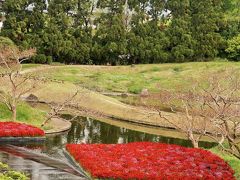 梅小路公園-1　朱雀の庭・いのちの森　回遊して　☆伝統と創生の調和をめざした作庭