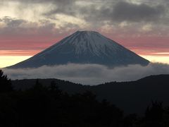 令和元年も箱根温泉旅行を行う①〔総集編〕