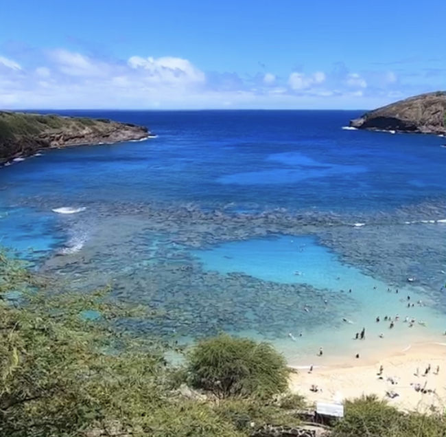 今年のハワイ旅行は、5月13日出発の5泊7日で行ってきました。<br /><br />今年こそ新しい所に行きたい!新しい事をしたい!!、、という気持は確実にあったんです。<br />あったんですが、、、<br />結局ほとんど今までと同じような所に行き、同じ所でご飯食べた5泊7日でした/(^o^)\ナンテコッタイ<br />そして相変わらずまとまりのない旅行記ですごめんなさい(´;ω;`)<br /><br />航空会社…ハワイアン航空<br />ツアー…個人手配でエアトリ(旧DeNAトラベル)<br />ホテル…アロヒラニ・リゾート・ワイキキ・ビーチ<br />人数…2人(夫と私)<br /><br /><br />1日目はアラモアナセンター&ワイキキ周辺でお買い物、2日目はダイヤモンドヘッドに行きました。<br />