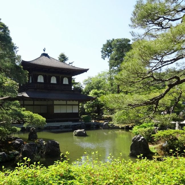 2019年5月24日-25日<br /><br /><br />ちょうど開催中の<br />細見美術館『美の饗宴 若冲と祈りの美』と<br />京都文化博物館『美を競う 肉筆浮世絵の世界』をみるために、<br />一泊二日で京都へ行くことに。<br /><br />京都御所をガイドと巡るツアーにも参加。<br /><br />気温が34℃以上になった日( ゚Д゚)<br /><br /><br />