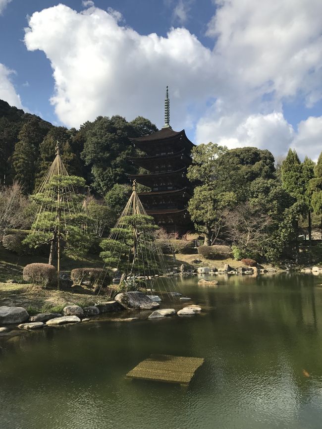 18きっぷの季節になりました！<br /><br />今回は家族でそれぞれ行きたいところを組み合わせて、唐戸市場、瑠璃光寺、瓦そばを回ることにしました。