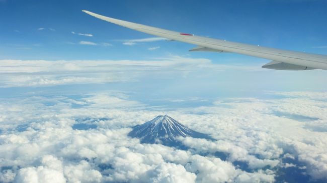 実際は、本来の意味での旅行ではないのですが、年に一度、東中野のクリニックに定期通院しており、今年もその時期になったのです。<br /><br />そのクリニック通院を兼ねて、ついでに都内を散策＆観光しています。<br /><br />特典航空券を使わない場合の、飛行機利用の国内旅行は、最近はいつも、飛行機＋ホテルのダイナミックパッケージ利用が定番になっています。<br /><br />今年も、５月中旬以降の日曜日発を狙っていたのですが、案の定、パック料金はやはり今年も最安料金でした。<br /><br />今回も、ＡＮＡの旅作利用で行ったのですが、福岡～羽田の往復航空券＋ホテル（ホテルメトロポリタンエドモント）の本館シングルルーム２泊が、ＡＮＡタイムセールで、２８，８００円だった為、このエドモント泊に決めました。<br /><br />なお、タイムセールが終わった後、同じエドモント泊を選択した場合は、１万円近く高くなっていました。<br /><br />ホテル公式ＨＰ：https://edmont.metropolitan.jp/<br /><br />ＡＮＡ旅作サイト：https://www.ana.co.jp/ja/jp/domtour/<br /><br /><br />今回の日程行程は下記の通りです。<br /><br /><br />５月１９日（日）<br /><br />１１：２０－ＡＮＡ２５０（Ｂ７７７－２００）－羽田１３：００<br /><br />ホテルに向かいチェックイン<br /><br />・東京大神宮参拝＆ホテル界隈散策<br /><br /><br />ホテルメトロポリタンエドモント　泊<br /><br /><br />５月２０日（月）<br /><br />・クリニック（東中野）通院<br /><br />・巣鴨地蔵通商店街＆高岩寺（とげぬき地蔵）参拝<br /><br />・東京ドームシティ散策 <br /><br /><br />ホテルメトロポリタンエドモント　泊<br /><br /><br />５月２１日（火）<br /><br />羽田空港に移動<br /><br />羽田空港国際線旅客ターミナルビル内で、友人と１０年振りに再会<br /><br />羽田１５：４５－ＡＮＡ２６１（Ｂ７８７－８）－福岡１７：４０<br /><br /><br /><br />富士山以西の眺めが良かった、ＡＮＡ２６１便で、羽田～福岡間を搭乗した時の様子です。