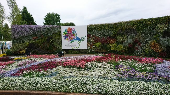 松本空港よこの信州スカイパーク展望台で、花フェスタ2019を開催していたので、花を見に訪問しました。ここは、素晴らしかったです。是非見に行ってください。