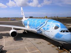 【2019海外】ANA A380 FLYING HONU で行くホノルル #04 ～復路 ビジネスクラス搭乗記～