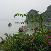 北ベトナム世界遺産探訪