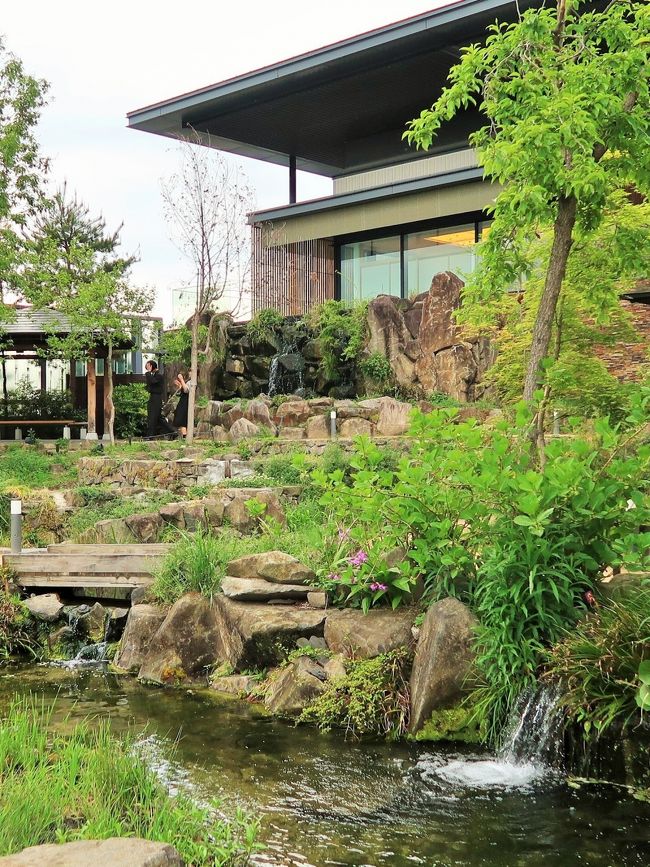 京都水族館（英語：Kyoto Aquarium）は、京都市下京区にある梅小路公園内の水族館。 <br />2012年（平成24年）3月14日に開業した内陸型水族館であり、日本初の完全な人工海水利用型水族館である。 <br /><br />オリックス不動産が公園の一部と隣接地を京都市から借用する形で管理・運営している。地元を流れる鴨川に生息する国の特別天然記念物・オオサンショウウオを始め、ゴマフアザラシやケープペンギンなどを含む動物約250種・総数約1万5000匹を展示している。水槽総容量は約3,000 t。 建築物は地上3階建て・塔屋1階建て、建築面積5,948.25m2、延べ床面積10,974.29m2、最大収容人数5,000人。建築費は約60億円。<br /><br />「水と共につながる、いのち。」がコンセプトである。 <br /><br />01　京の川ゾーン　Rivers of Kyoto Zone　<br />京都の川の流れを再現した淡水系の水槽のゾーン。<br />鴨川の上流域を全長12mにわたって再現した水槽であり、オオサンショウウオの展示コーナーとして国内最大規模を誇る（2012年時点）。擬岩の断崖を背景にして、透明度の高い小川に見立てた水槽が観客の足元近くを横に長く広がるジオラマ空間で、岩清水（岩の間からの湧水）、砂の間からの湧水、苔の間を流れる雫という、3種類の水の流れを再現している。<br /><br />02　かいじゅうゾーン　Sea Animals Zone<br />海獣（アザラシとオットセイ）の水槽。メインの水槽とつながったチューブ状水槽（円柱型水槽）やコの字型の水槽があり、海獣が行き来したり人間を見に来る様子を間近で観察することができる。<br /><br />03　ペンギンゾーン　Penguin Zone　<br />ケープペンギンの飼育展示水槽（開業時は28羽）。ペンギン本来の生態に合わせて、水域を広く取り、陸は狭く上がりにくく設計してあるため、野生時と同じくペンギンは波のエネルギーを利用して一気に陸に上がる。巣作りに適した砂場も用意されている。<br />04　海洋ゾーン　Ocean Zone　<br />水槽「さんごの海」　Coral Sea<br />色彩豊かで多種多様なサンゴ礁と熱帯魚の水槽。飼育種はツノダシ、カクレクマノミなど。<br />水槽「京の海」　Sea of Kyoto<br />「京の海」をテーマに、古都・京都の食文化に海の幸として根づいた魚介類（ズワイガニ、クロダイなど）を含む海の生き物（ハリセンボンなど）を飼育展示]。磯場や、藻場を中心とした微環境に生きる小動物を観察できる。<br /><br />05　大水槽　Main Pool<br />日本海を表現した水量500tの大水槽は、高さ6m、1&#12316;2階吹き抜けで、厚み240mmのアクリルガラス製。1mを超すマダラトビエイを始め、ホシエイ、クエ、アオウミガメなど50種が展示されており、泳ぎ回る大きな魚群を観察できる。2012年（平成24年）4月23日、ナポレオンフィッシュが新たに加えられた。<br />山紫水明ゾーン　Beauty of Nature Zone<br />京都周辺の淡水域の展示ゾーンということで、由良川水系と琵琶湖淀川水系の生物、具体的には、深泥池や昔あった巨椋池に棲んでいた生物、琵琶湖とつながりのある生物、そして、オヤニラミ、アユカケ、アジメドジョウ、ミナミイシガメといった京都特有の生物などが展示されている。絶滅を危惧される希少種（絶滅危惧種、ほか）が数多く集められている。<br /><br />京の里山ゾーン　Countryside of Kyoto Zone<br />古き良き日本の原風景と言うべき里山を再現した空間。梅小路公園を借景に棚田を歩くことができる。<br /><br />イルカスタジアム　Dolphin Lagoon (Dolphin Stadium)<br />パフォーマンス空間を兼ねたハンドウイルカの飼育水槽を中心とした180度パノラマの屋外スタジアム。イルカの飼育数は開業時は雌雄各2頭。観覧席数1,048。スタジアムの天井には京都産の木材が使われている。なお、観客席からは東寺五重塔を遠望できる。<br />（フリー百科事典『ウィキペディア（Wikipedia）』より引用）<br /><br />京都水族館　については・・<br />https://www.kyoto-aquarium.com/<br /><br />梅小路（うめこうじ）公園は、京都府京都市下京区観喜寺町、八条坊門町、梅小路頭町にまたがる市営の都市公園（総合公園）である。指定管理者制度に基づき、公益財団法人京都市都市緑化協会が運営管理している。<br />（フリー百科事典『ウィキペディア（Wikipedia）』より引用）<br /><br />梅小路公園　については<br />http://www.kyoto-ga.jp/umekouji/