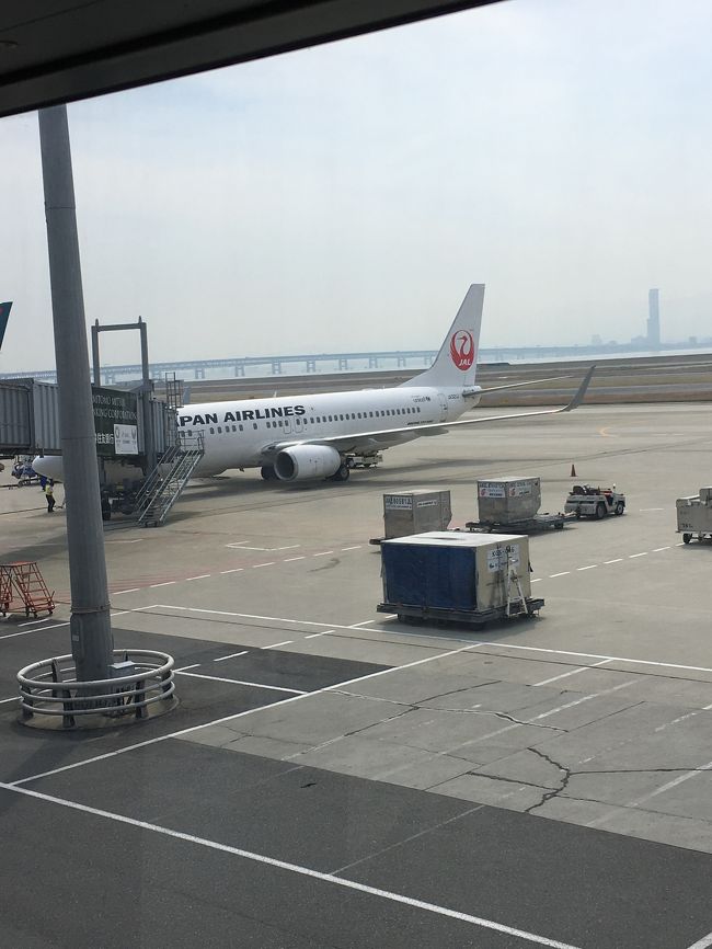 <br />私も友人も仕事があり…中々やすみが合わないけれど、有休をとり、大好きな韓国へ、釜山に買い物に行きました。<br /><br />大雨で、突風 駅から 遠目のホテルだったから、地図をみながら、迷い 迷った お買い物旅 雨のために 焼肉もいけませんでした。<br /><br />でも、たっぷり 話せて たまにしか逢えないから<br />楽しかったです(^^)