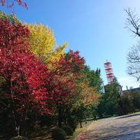 札幌パークホテルの朝食を堪能しに札幌へ！