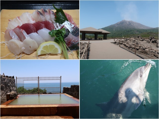 観光・郷土料理・温泉をテーマにした今回の鹿児島旅行。<br /><br />最終日は朝5時半に起床、ホテルから歩いて鹿児島市魚類市場へ行き『市場食堂』で新鮮な魚の幸を堪能してから桜島フェリーで桜島へ。島内を路線バスで巡りながら、古里温泉『桜島シーサイドホテル』で錦江湾を望む露天風呂を貸し切り状態で満喫してきました♪<br /><br />往路(5/22):スカイマーク <br />07:45/羽田 → 09:35/鹿児島 11,090円<br /><br />復路(5/23):ジェットスター<br />鹿児島/19:50 → 成田/21:40 7,760円<br /><br />宿泊:ホテル法華クラブ鹿児島<br /><br />■みんなの桜島<br />http://www.sakurajima.gr.jp/