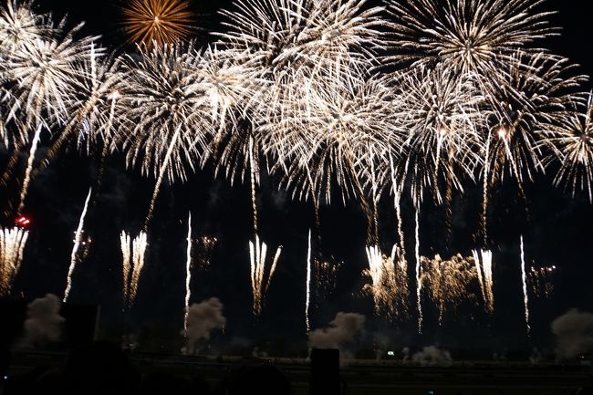 今年が第2回目の京都芸術花火に行ってきました~!<br />宿泊は5月にオープンしたばっかりの<br />リッチモンドホテルプレミア京都駅前です。<br /><br />翌日は京都観光に行くつもりが・・・(;.;)。