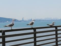 仁川空港から船と京仁線でソウルへ (1)