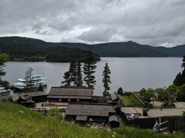 何時もの散歩コースを脱し芦ノ湖周辺へ出掛けました。途中の国史跡「元箱根石仏･石塔群に立ち寄りましたが早朝で曇り空誰も居ません、「猪に注意」の看板がやけに大きく見えますので木や小石を叩き音を出しながら一人ヤブ道のコースにはいって行きました。数百メートルの距離ですが長く感じました。石仏、石塔は保存状態の良いものだけでも多くあり丁寧な仕事に感心させられました。峠を降りると芦ノ湖遊覧船乗降場、ここも人影はまばら、一人湖畔を写真を取りながら寂しく散歩しました。今回は関所、杉並木、恩賜公園周りで終わりましたが、近いうちに湖畔一周したいと思っています。