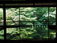 京都訪問2019（洛北の青モミジ：瑠璃光院、蓮華寺、大原三千院）