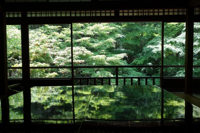 京都訪問2019（洛北の青モミジ：瑠璃光院、蓮華寺、大原三千院）