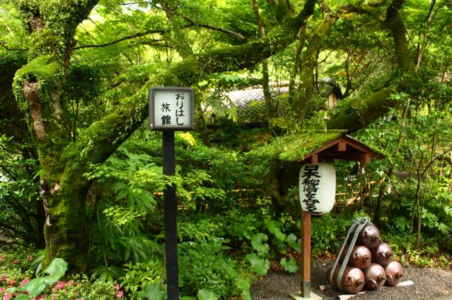 私は温泉ハンターではないけれど、今回は1泊2日の旅で合計10回の温泉を楽しんだ。<br />特によかった温泉は指宿の砂むしと、妙見温泉のキズ湯。傷を癒す湯なのでキズ湯と呼ぶらしいが、心の傷も言えそうなところだった。<br />