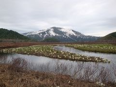 【連載】2019年５月、尾瀬水芭蕉の旅[１]鳩待峠から山ノ鼻まで、ビールぐびぐび！もあり……そのうち