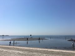 船橋三番瀬海浜公園での潮干狩り