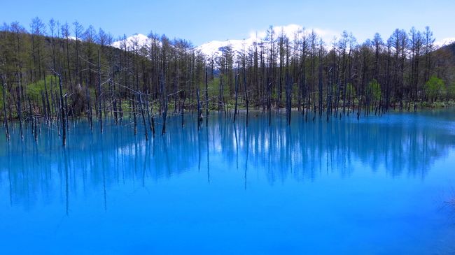 2泊3日の北海道道央の旅<br />そこで見かけた“美しいもの”を集めてみた