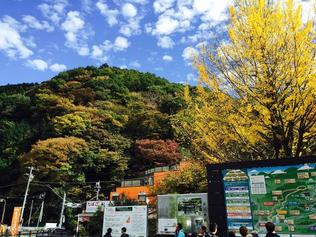 2015年11月 紅葉を見に高尾山ハイキング