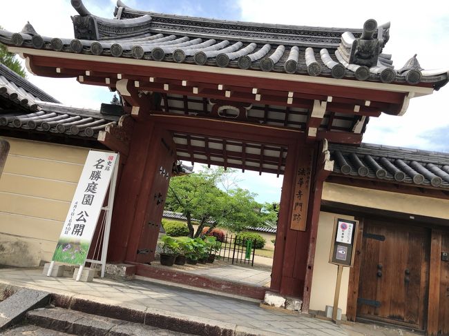 風爽やかな晴天の日…ご近所友達にお誘いを頂き、法華寺に参拝する事となりました。<br /> 法華寺は、奈良公園や東大寺のある近鉄奈良駅より 一駅西側の新大宮駅から徒歩20分程の所に位置します。近鉄奈良駅や大和西大寺駅から バスで行く事も出来ますが、私達は 新大宮駅の次の大和西大寺駅から ぶらぶら歩く事にしました。