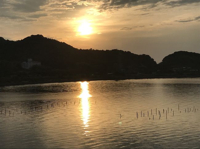 花を求めて⑪ 浜名湖へドライブ