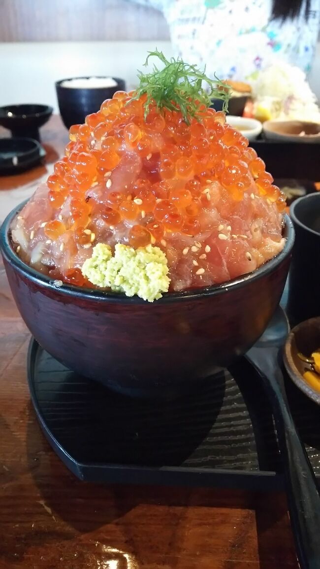 時之栖グループのコテージに泊まりたくドライブ旅を企画しました。