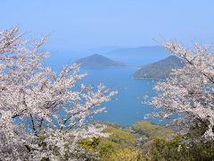  紫雲出山の桜が満開 ～桜色に染まる山頂と碧い瀬戸内海の絶景2019～（香川）